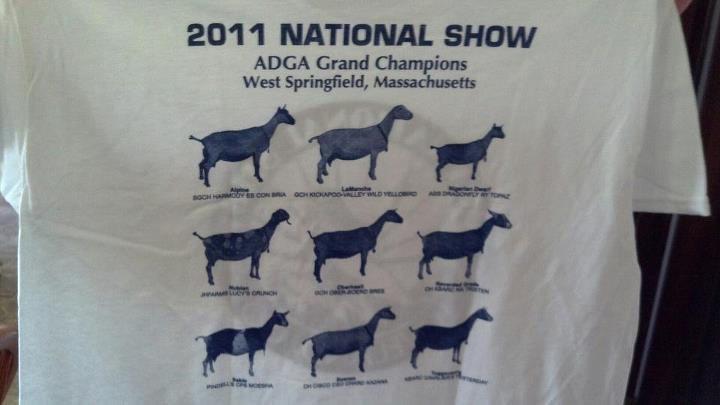 10 2011 National Show ADGA Grand Champions T-Shirt, West Springfield, Massachusetts