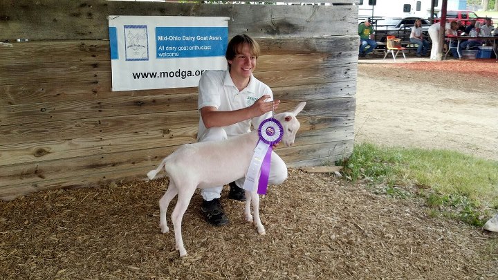 03 Mid Ohio Dairy Goat Association
