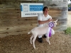 03 Mid Ohio Dairy Goat Association