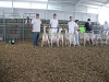 03 Hillsboro, OH, SWODGA 2014 - Kirk's saanen dairy herd