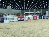 11 2014 ADGA National Show, Saturday, July 12, 2014, Tennessee Waltz 2, Kentucky State   Fair & Expo Center Louisville, KY